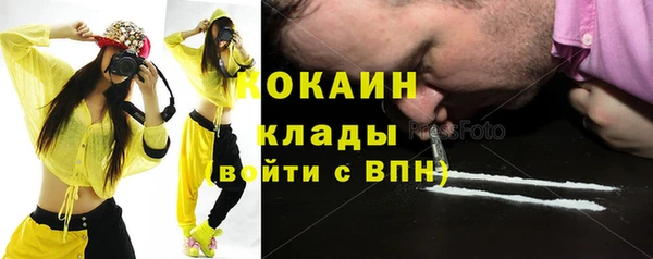 стаф Абинск
