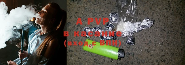стаф Абинск