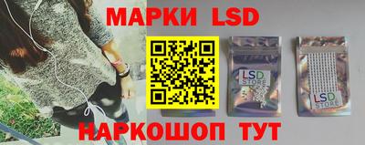 спиды Камышлов