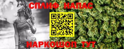 спиды Камышлов