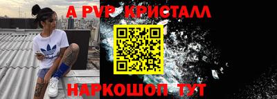 спиды Камышлов